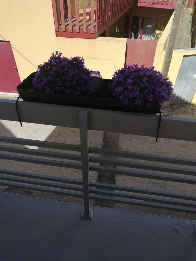 Villa The Violet House Costa Nova Exterior foto